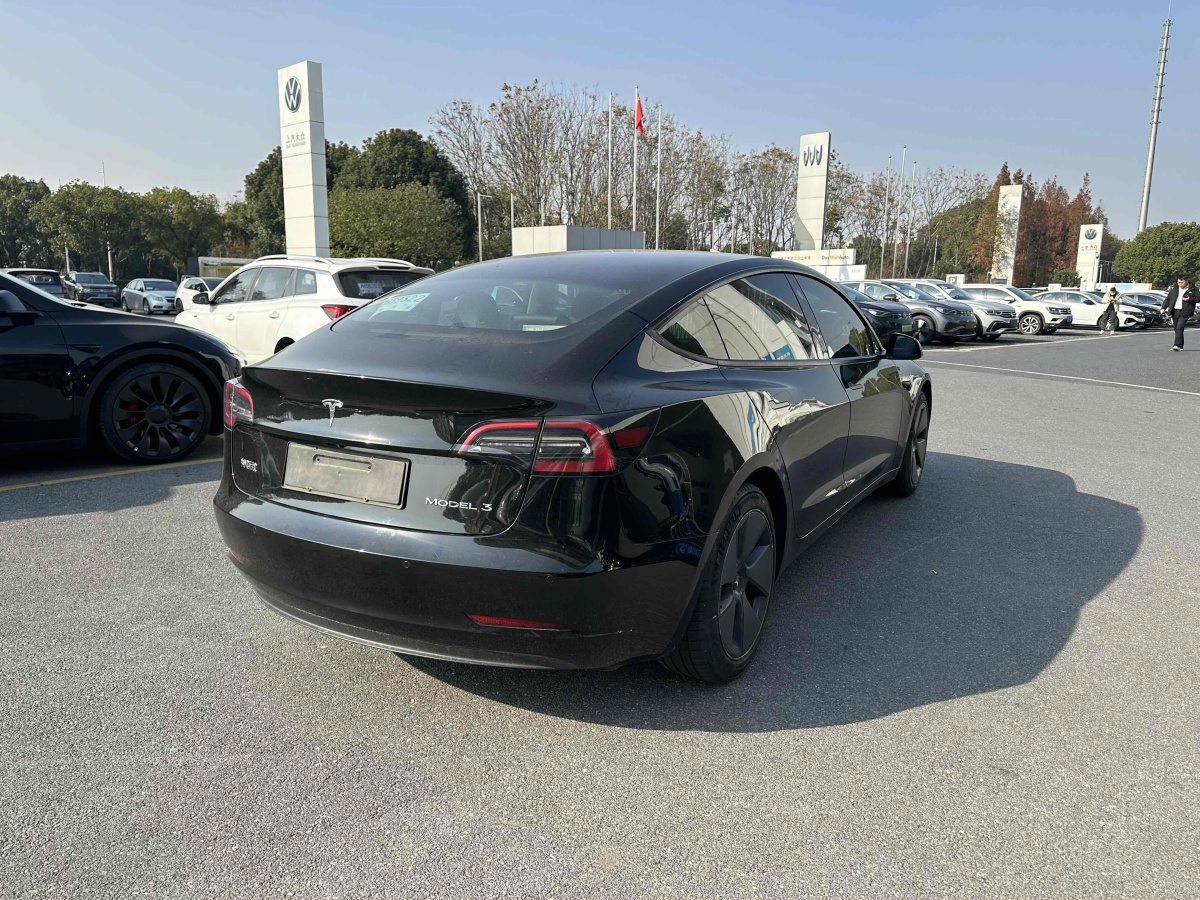 特斯拉 Model 3  2021款 標(biāo)準(zhǔn)續(xù)航后驅(qū)升級版 3D6圖片