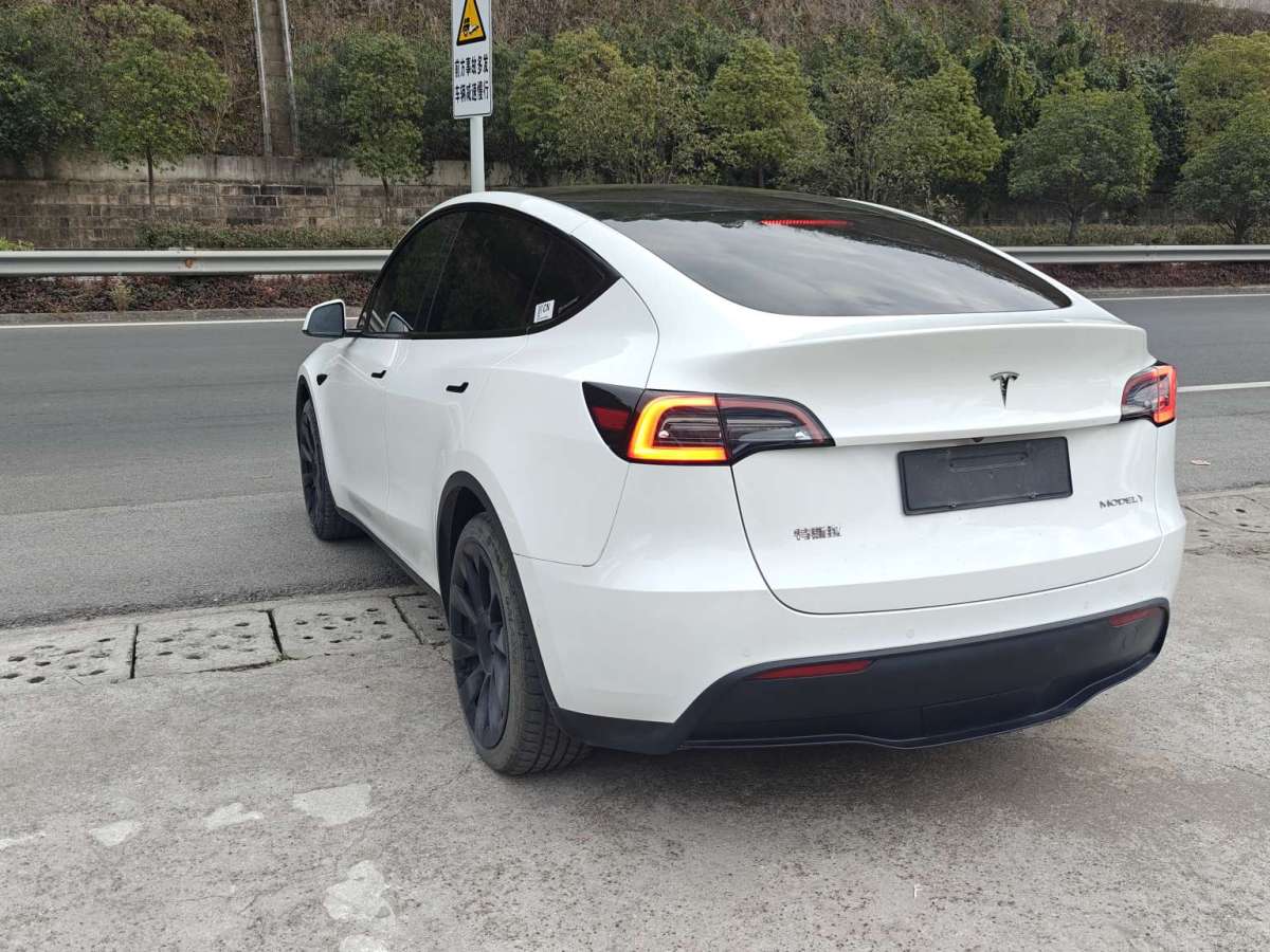 特斯拉 Model Y  2022款 長(zhǎng)續(xù)航全輪驅(qū)動(dòng)版圖片