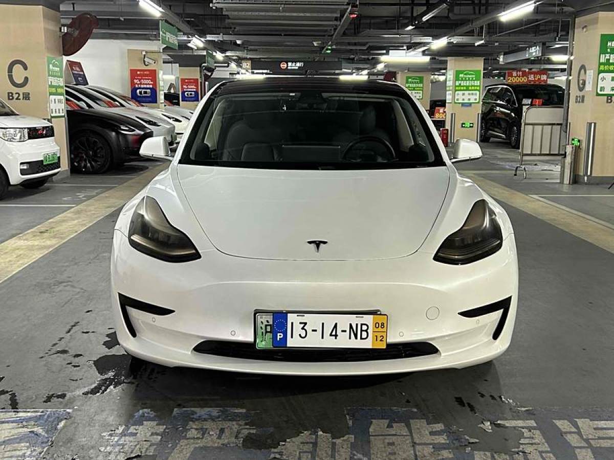 特斯拉 Model 3  2020款 改款 標(biāo)準(zhǔn)續(xù)航后驅(qū)升級版圖片