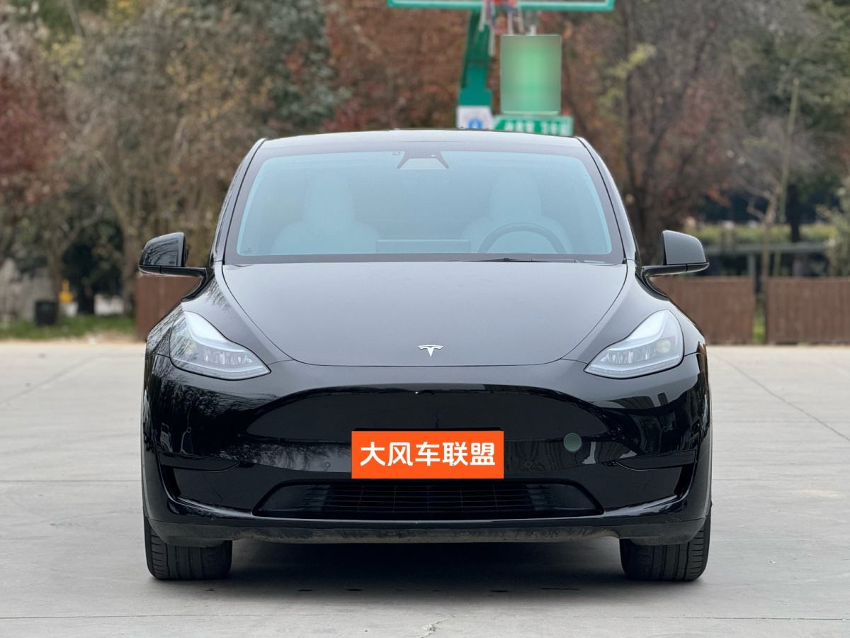 特斯拉 Model 3  2022款 后輪驅(qū)動(dòng)版圖片