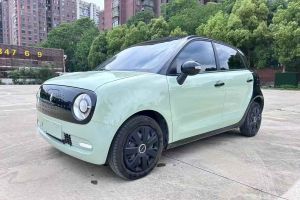 歐拉黑貓 歐拉 301km 基礎(chǔ)型