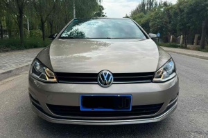 高爾夫 大眾 1.4TSI 自動(dòng)豪華型