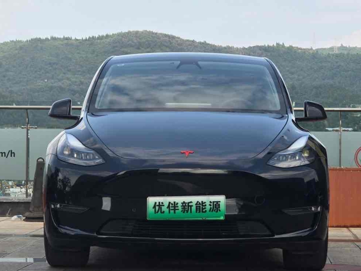 2021年10月特斯拉 Model Y  2021款 改款 標(biāo)準(zhǔn)續(xù)航后驅(qū)升級版