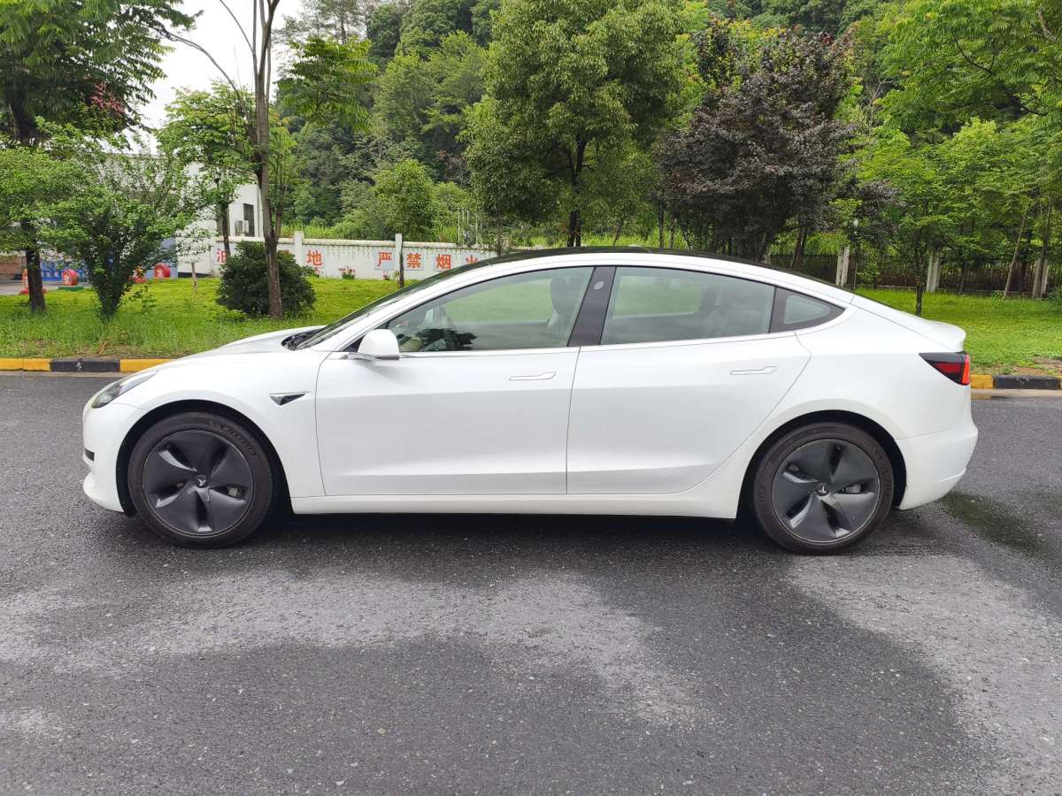 特斯拉 Model 3  2020款 改款 標(biāo)準(zhǔn)續(xù)航后驅(qū)升級版圖片