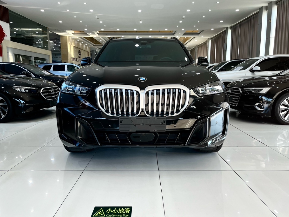 宝马 宝马X5  2023款 xDrive 40Li M运动曜夜套装图片