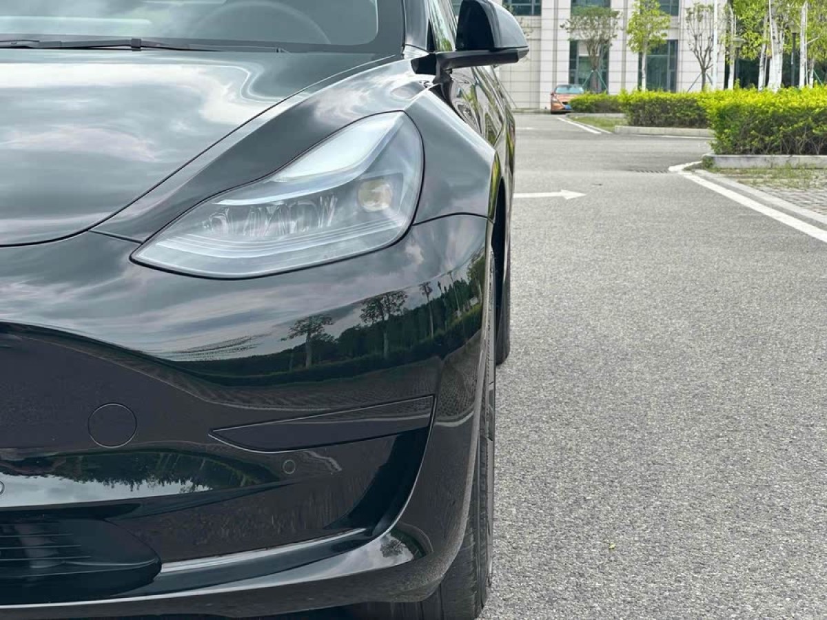 特斯拉 Model 3  2021款 標(biāo)準(zhǔn)續(xù)航后驅(qū)升級(jí)版 3D6圖片