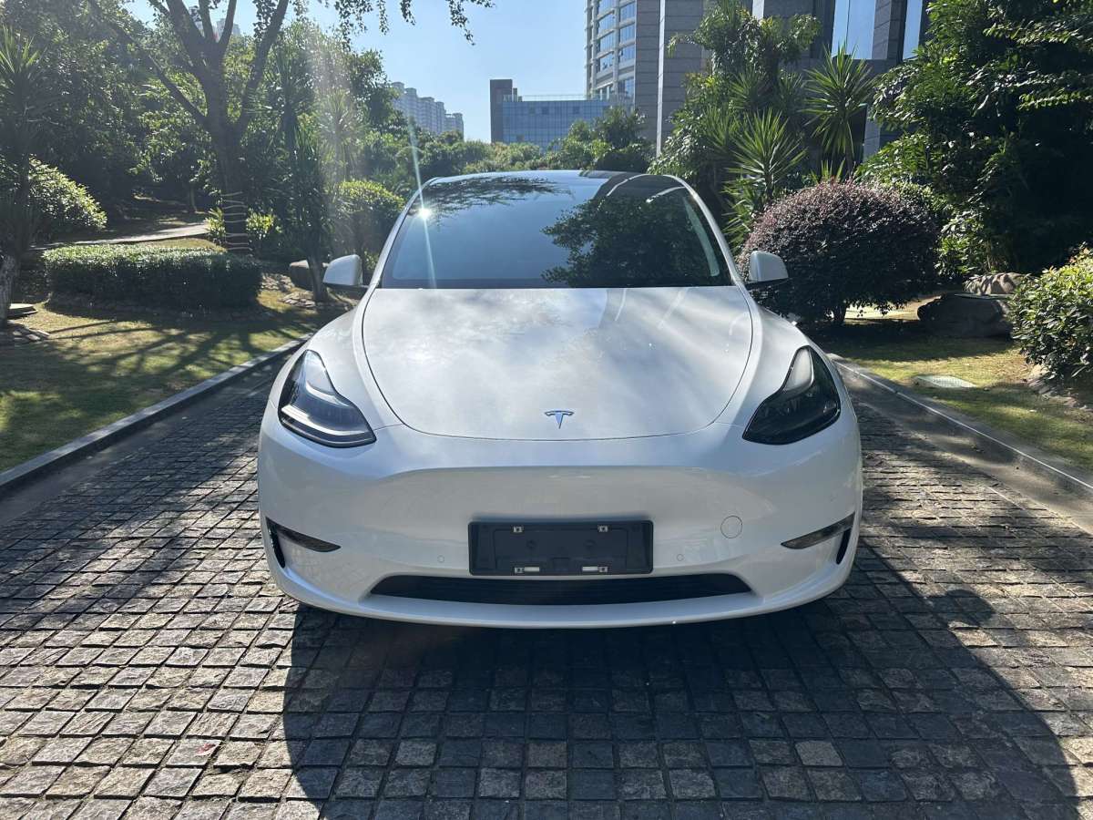 特斯拉 Model Y  2022款 后驅(qū)版圖片