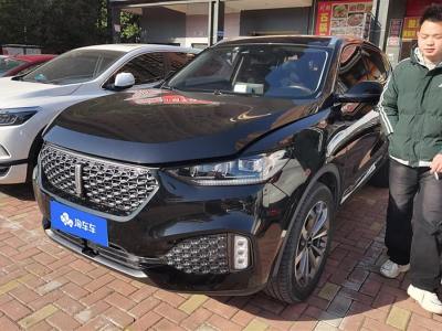 2020年5月 WEY VV6 2.0T 兩驅(qū)智護(hù)+圖片