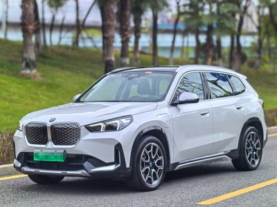 2024年4月 寶馬 寶馬iX1 xDrive30L X設(shè)計(jì)套裝圖片