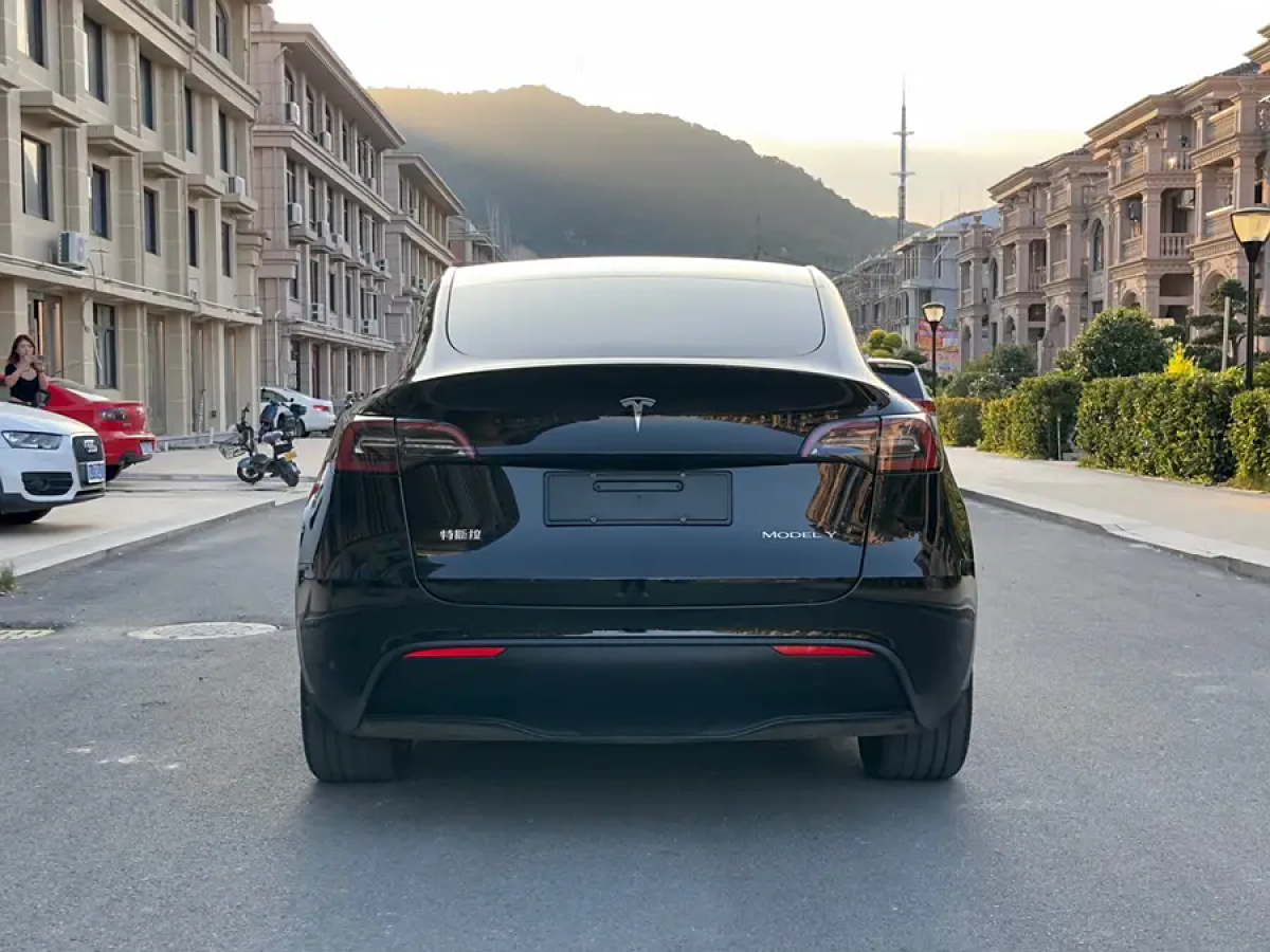 特斯拉 Model Y  2020款 改款 長續(xù)航后輪驅(qū)動版圖片