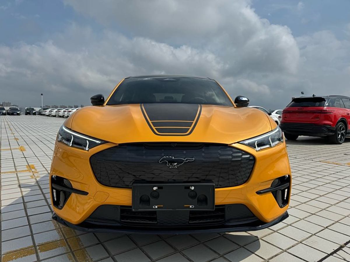 2024年2月福特 Mustang Mach-E  2024款 GT風暴版