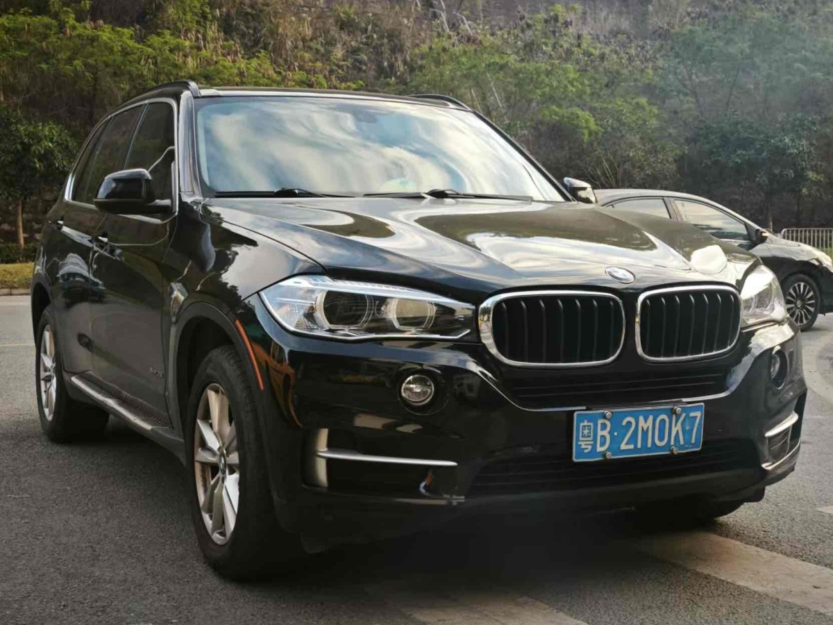 寶馬 寶馬X5  2014款 xDrive35i 典雅型圖片