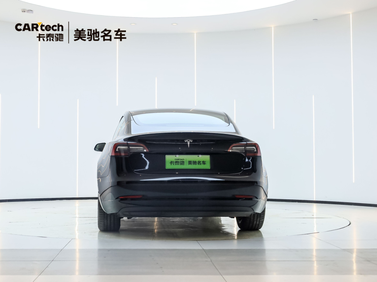 特斯拉 Model 3  2019款 標(biāo)準(zhǔn)續(xù)航后驅(qū)升級(jí)版圖片