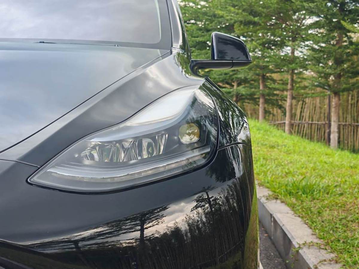 特斯拉 Model 3  2020款 改款 長續(xù)航后輪驅動版圖片