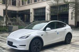 Model Y 特斯拉 改款 长续航后轮驱动版