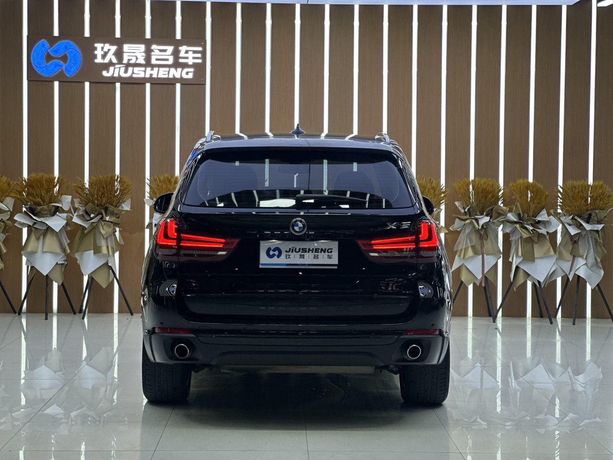 寶馬 寶馬X5  2014款 xDrive35i 領(lǐng)先型圖片