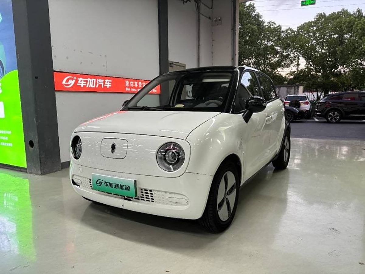 2021年1月歐拉 歐拉黑貓  2022款 301km 基礎(chǔ)型