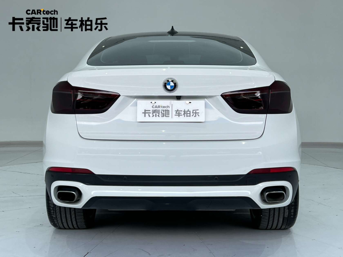 寶馬 寶馬X6  2018款 xDrive35i 領(lǐng)先型圖片