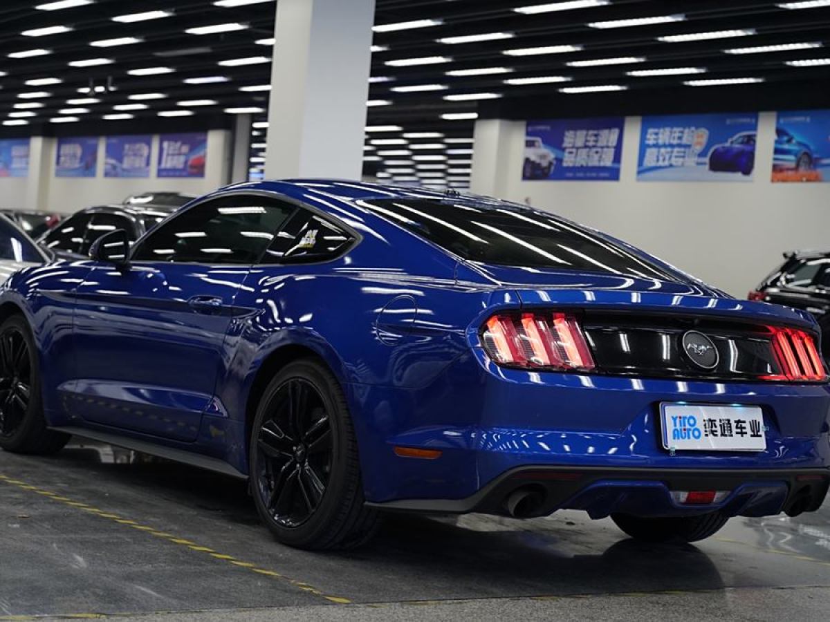 福特 Mustang  2015款 2.3T 性能版圖片