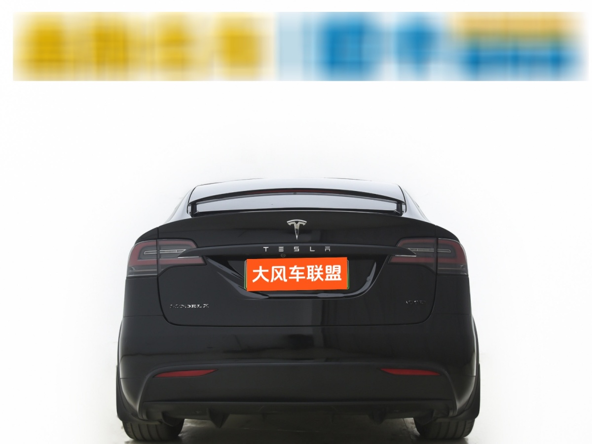 特斯拉 Model X  2017款 Model X 100D 長續(xù)航版圖片