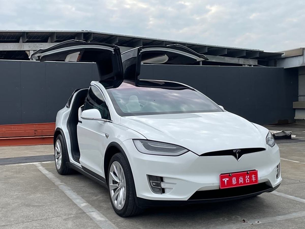 特斯拉 Model X  2019款 長續(xù)航版圖片