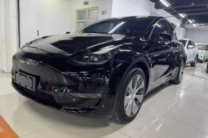 Model Y 特斯拉 標(biāo)準(zhǔn)續(xù)航后驅(qū)版