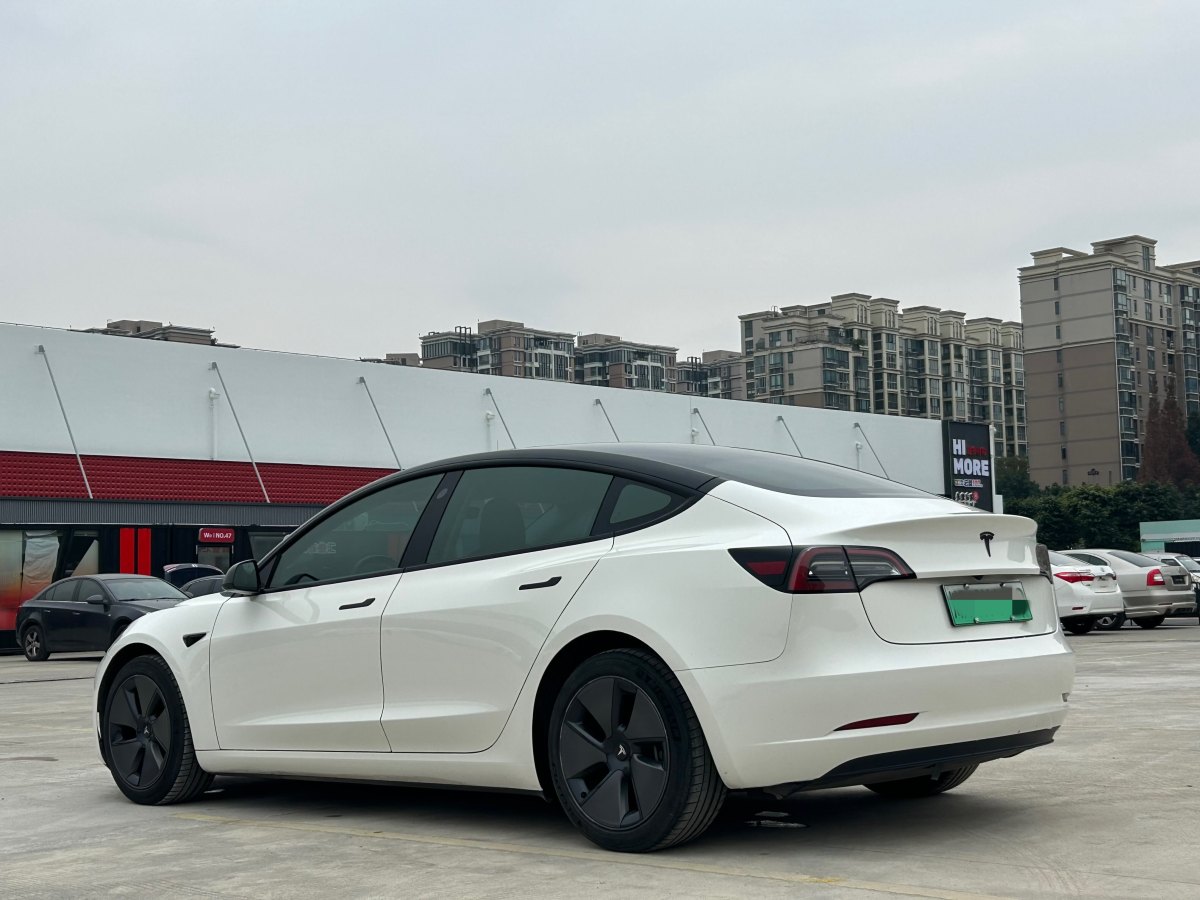 特斯拉 Model 3  2019款 標(biāo)準(zhǔn)續(xù)航后驅(qū)升級版圖片