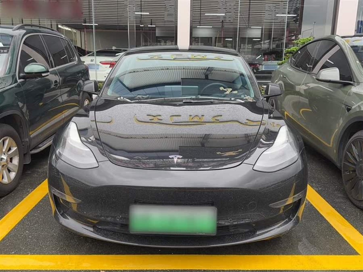 特斯拉 Model 3  2021款 改款 Performance高性能全輪驅(qū)動(dòng)版圖片