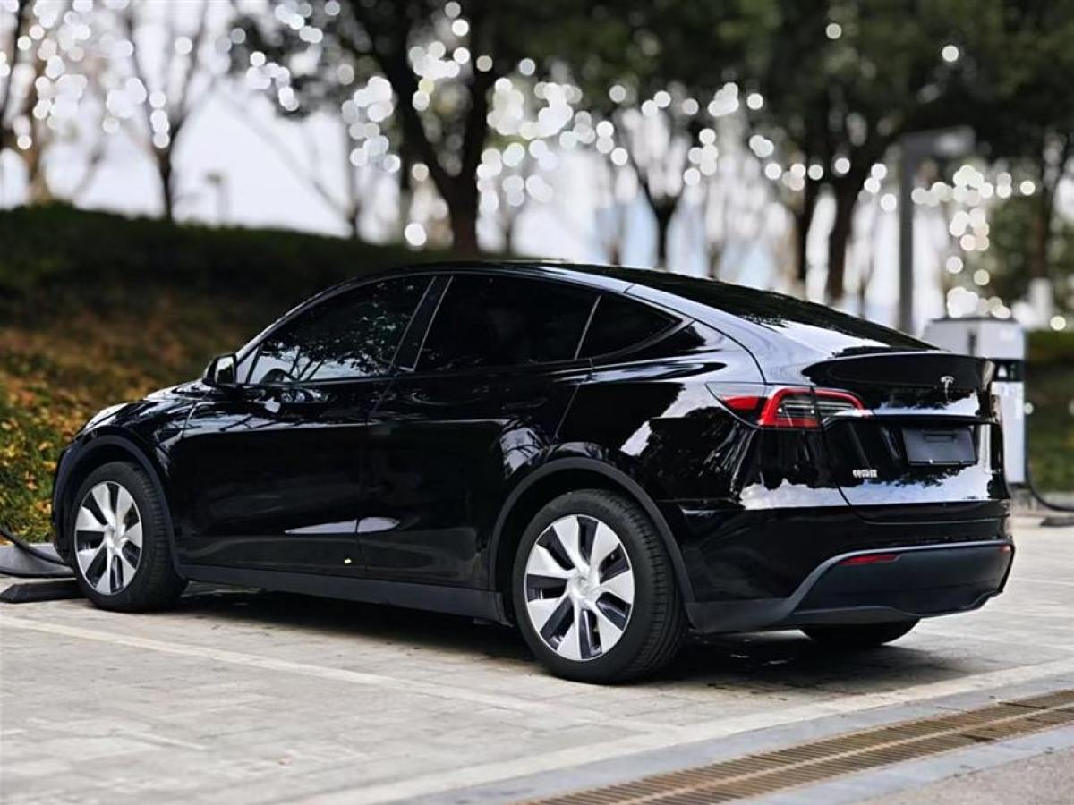 特斯拉 Model 3  2022款 后輪驅(qū)動(dòng)版圖片