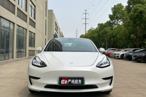 Model 3 特斯拉 標(biāo)準(zhǔn)續(xù)航后驅(qū)升級(jí)版