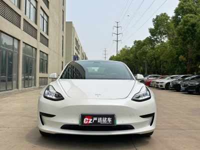 2020年3月 特斯拉 Model 3 標(biāo)準(zhǔn)續(xù)航后驅(qū)升級版圖片