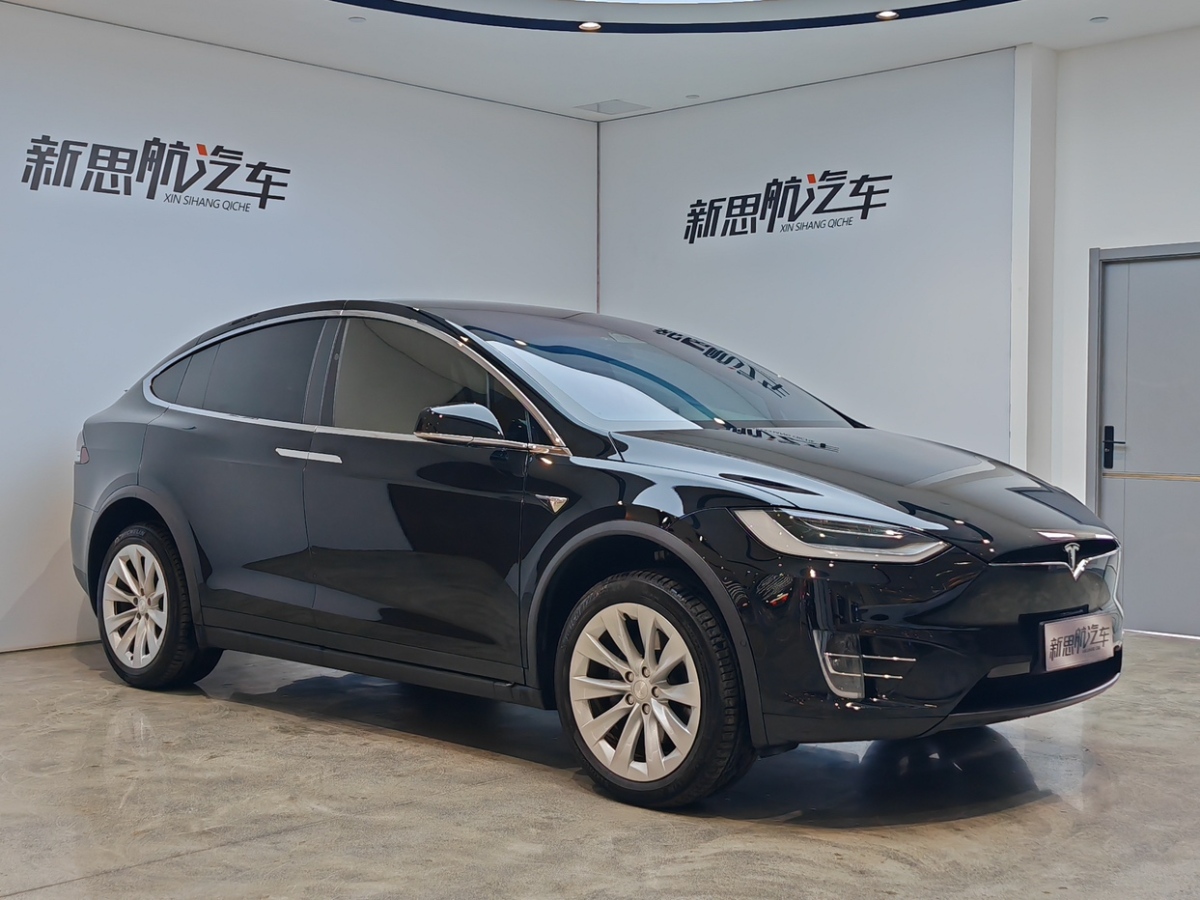 特斯拉 Model X  2019款 長續(xù)航版圖片