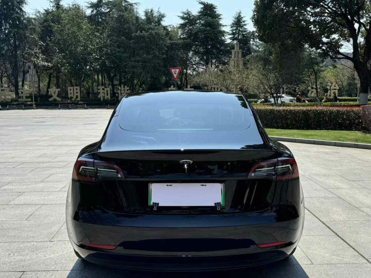 2023年4月特斯拉 Model S  2023款 三電機(jī)全輪驅(qū)動(dòng) Plaid版