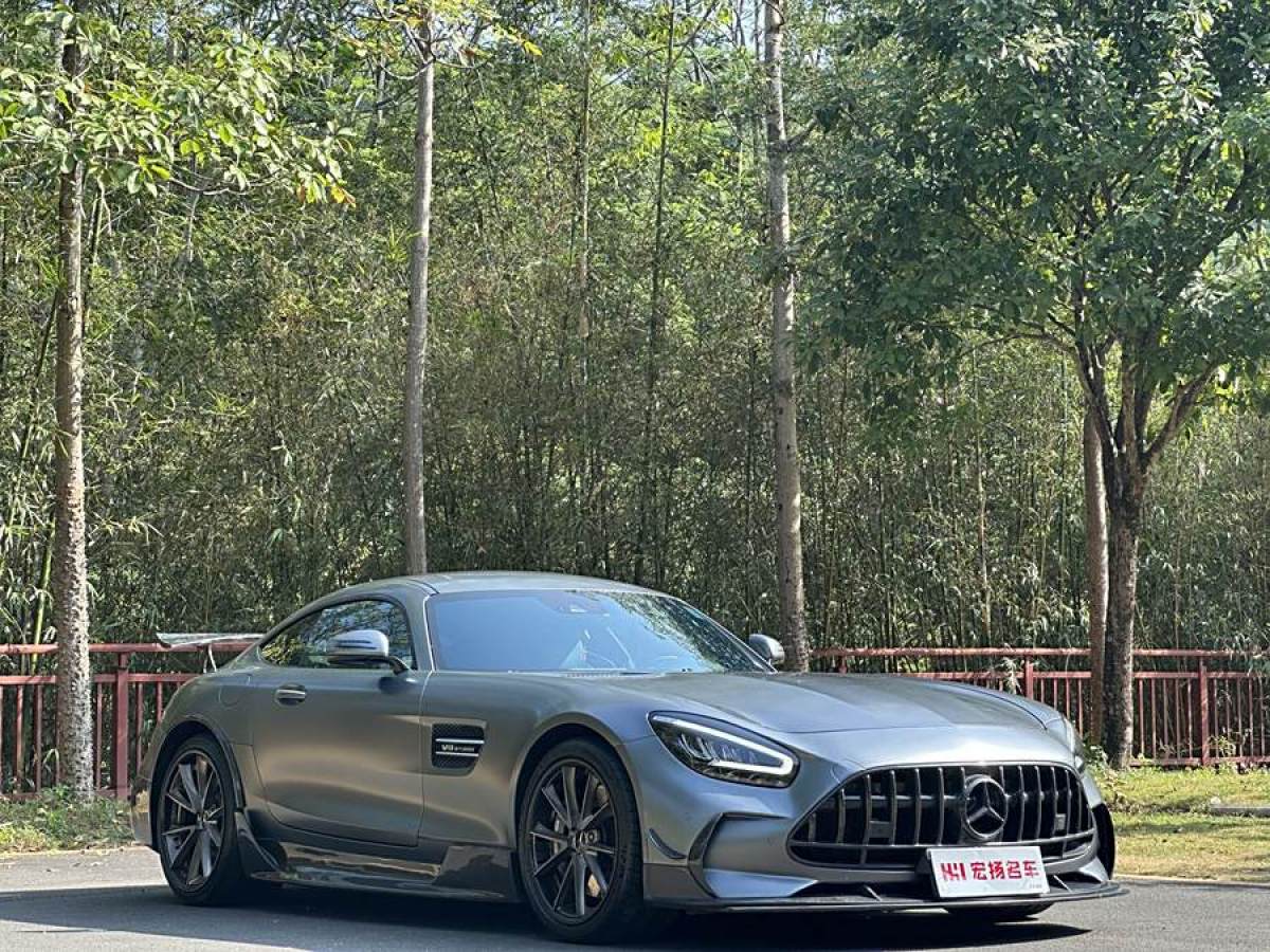 奔馳 奔馳AMG GT  2019款 AMG GT圖片