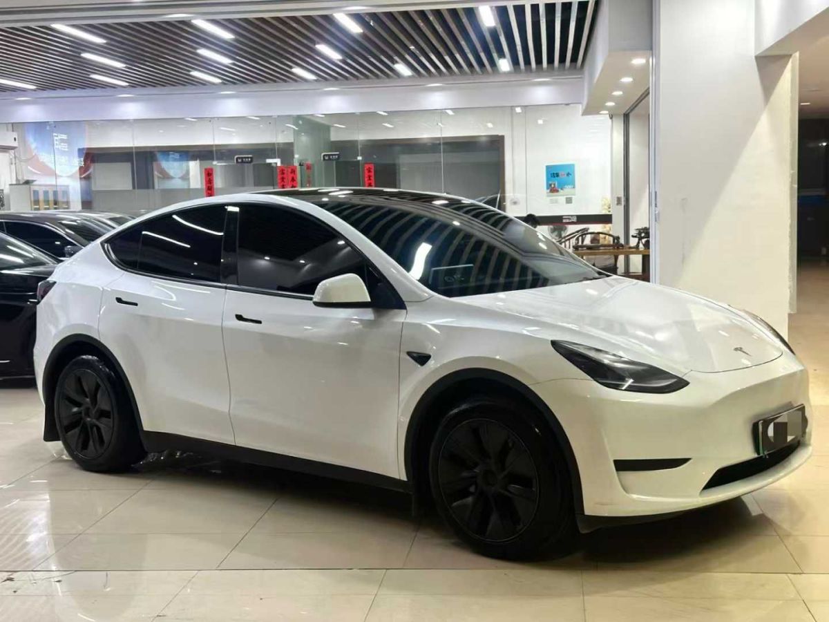 特斯拉 Model Y  2024款 Performance高性能版圖片