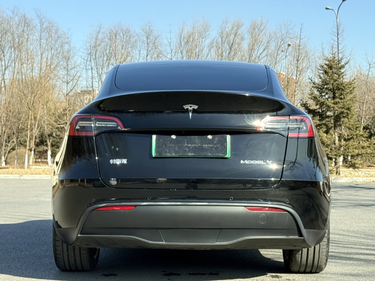 特斯拉 Model Y  2022款 改款 后輪驅(qū)動版圖片