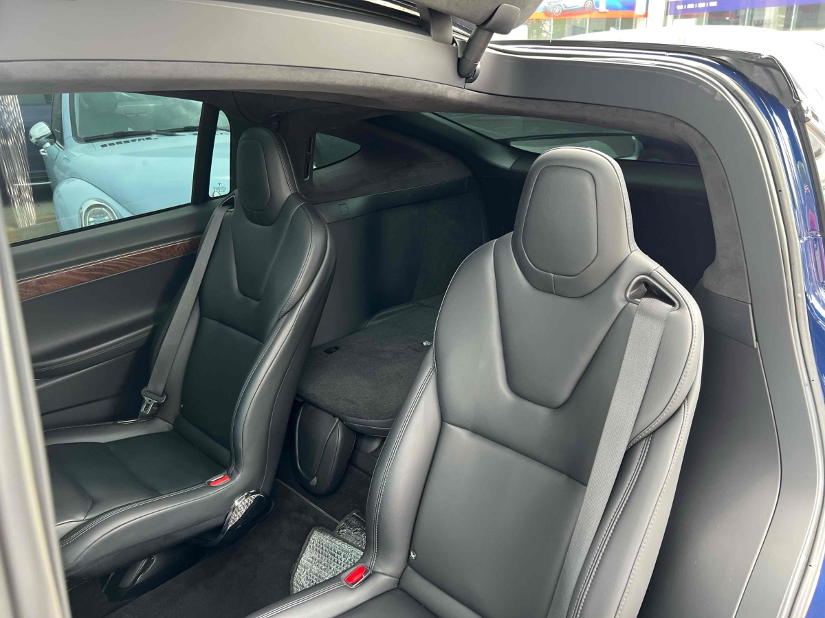 特斯拉 Model X  2017款 Model X 100D 長(zhǎng)續(xù)航版圖片