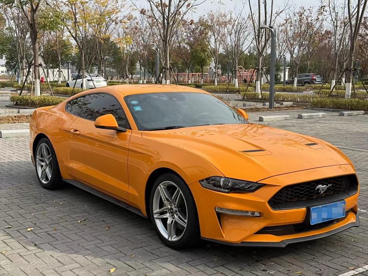 福特 Mustang  2019款 2.3L EcoBoost 性能加強版圖片