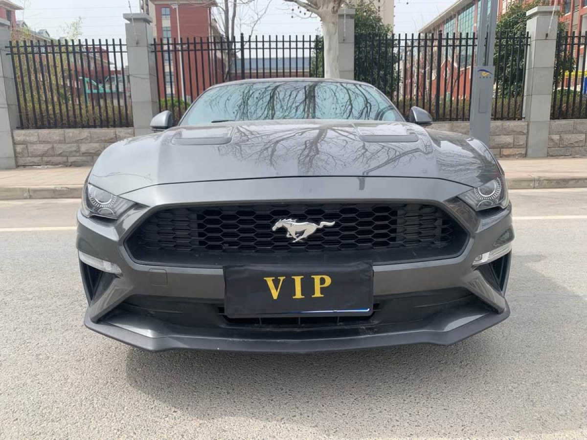 福特 Mustang  2020款 2.3L EcoBoost圖片