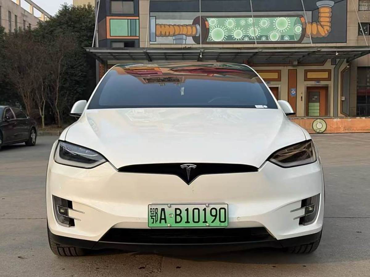 2019年1月特斯拉 Model X  2017款 Model X 100D 長(zhǎng)續(xù)航版