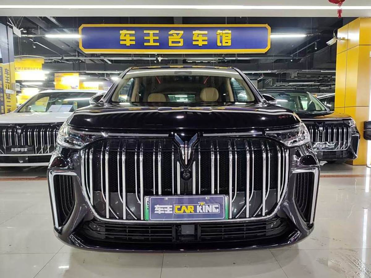 嵐圖 夢想家  2024款 PHEV 超長續(xù)航旗艦版圖片