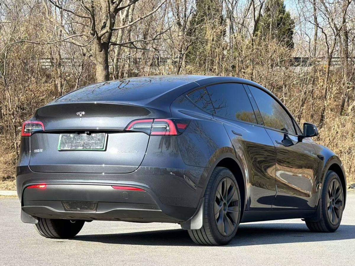 特斯拉 Model Y 24款 標(biāo)準(zhǔn)續(xù)航 后輪驅(qū)動(dòng)版圖片