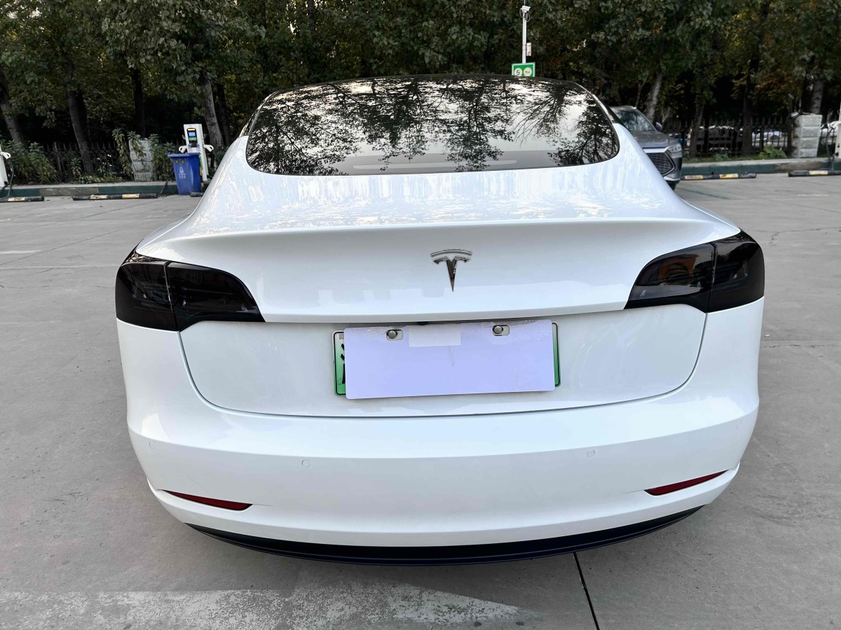 特斯拉 Model 3  2020款 改款 長續(xù)航后輪驅(qū)動版圖片