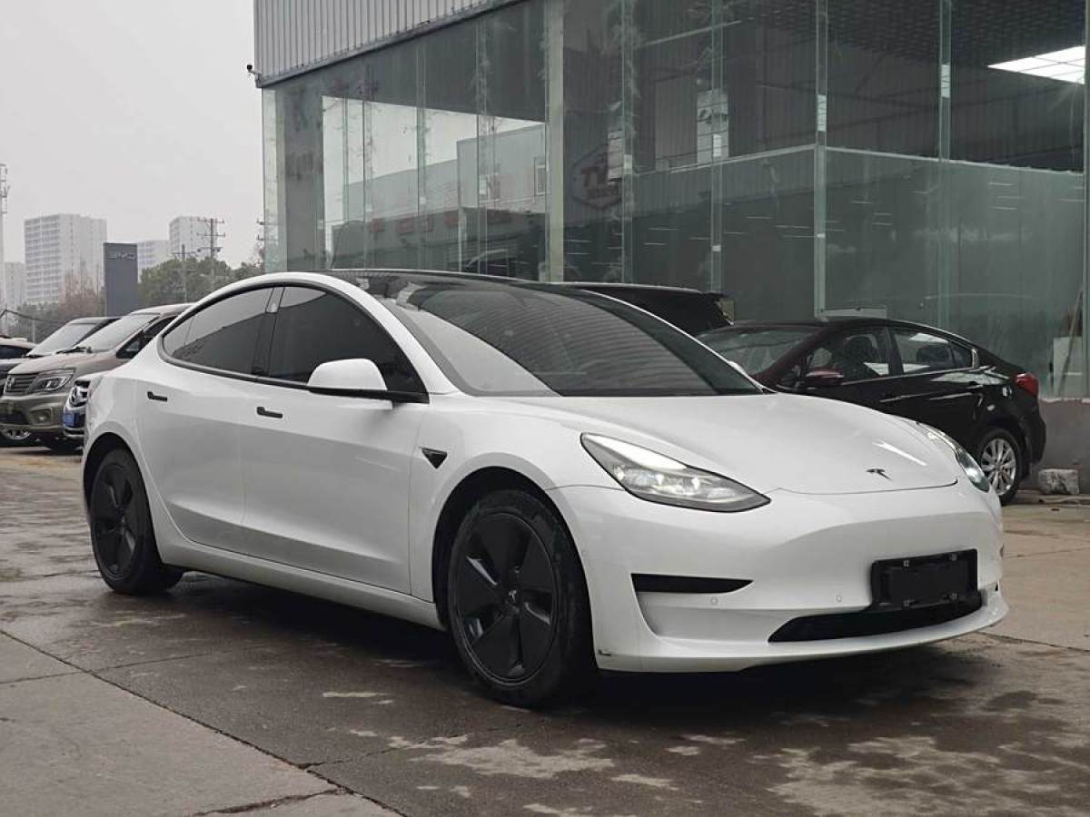 2021年3月特斯拉 Model 3  2021款 改款 標準續(xù)航后驅(qū)升級版