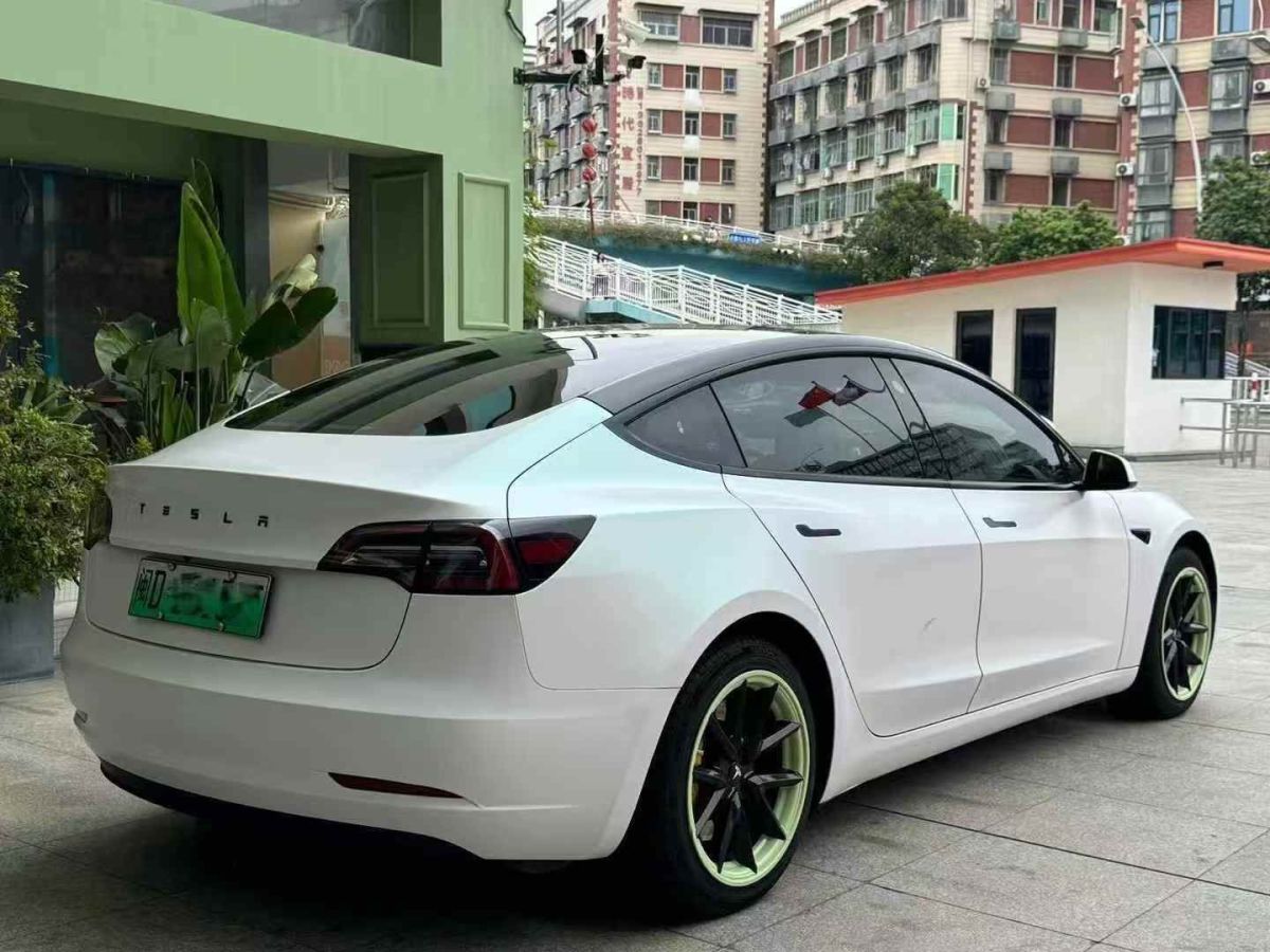 特斯拉 Model Y  2021款 標(biāo)準(zhǔn)續(xù)航后驅(qū)版圖片