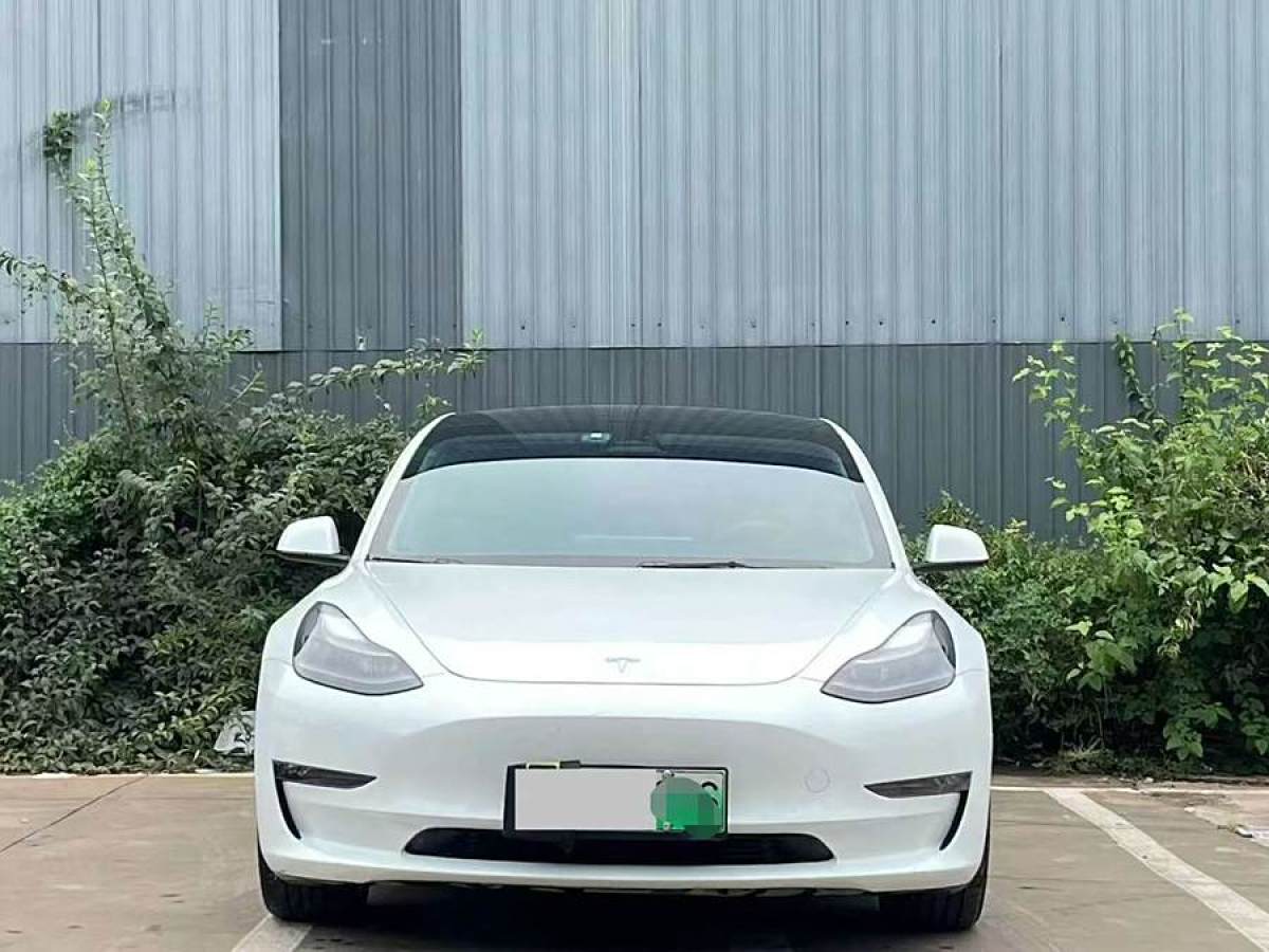 特斯拉 Model 3  2020款 改款 標(biāo)準(zhǔn)續(xù)航后驅(qū)升級版圖片