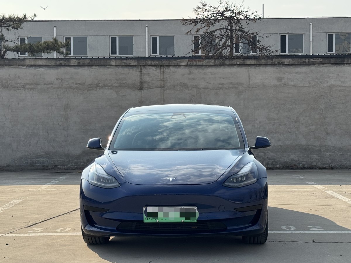 特斯拉 Model 3  2019款 標(biāo)準(zhǔn)續(xù)航后驅(qū)升級(jí)版圖片