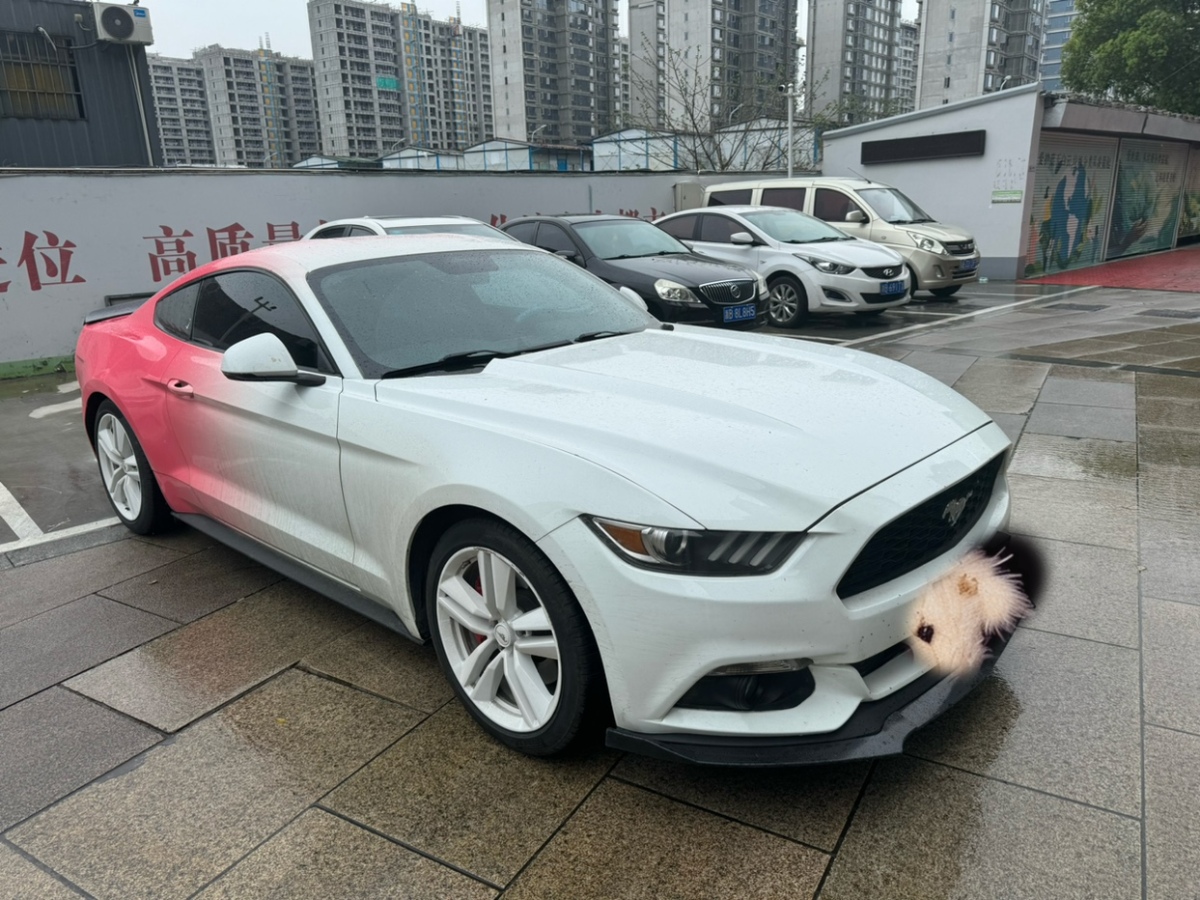 2015年09月福特 Mustang  2015款 2.3T 性能版