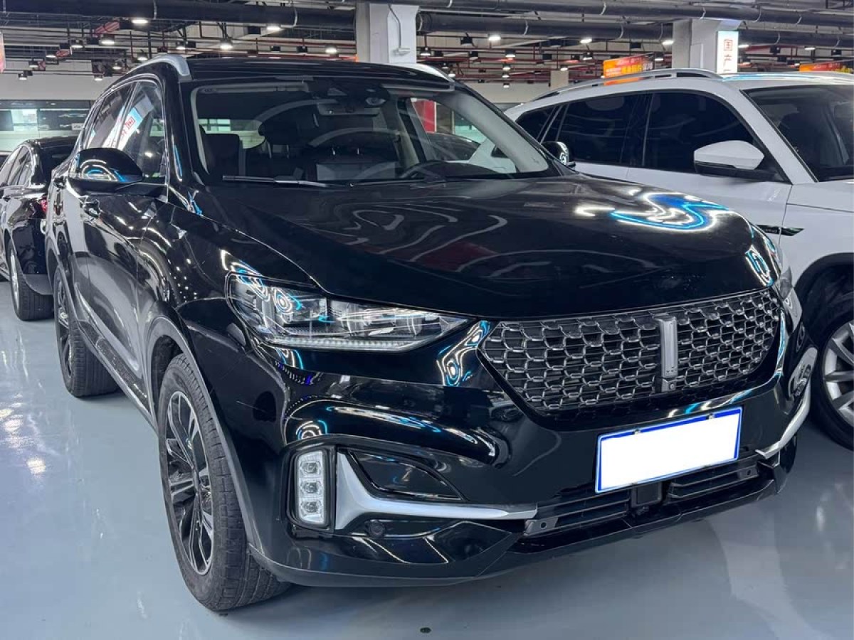 WEY VV6  2020款 2.0T 兩驅(qū)智享+圖片
