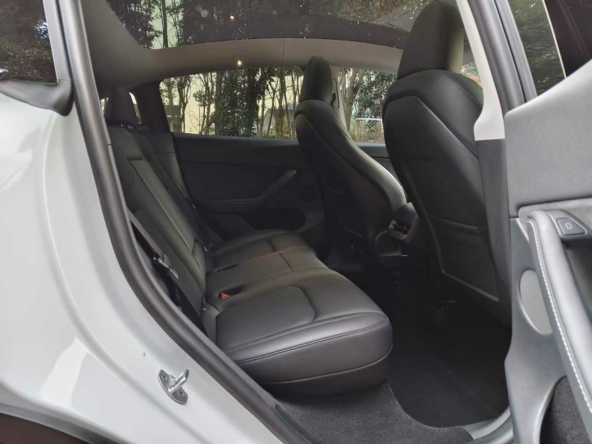 特斯拉 Model S  2023款 三電機全輪驅動 Plaid版圖片